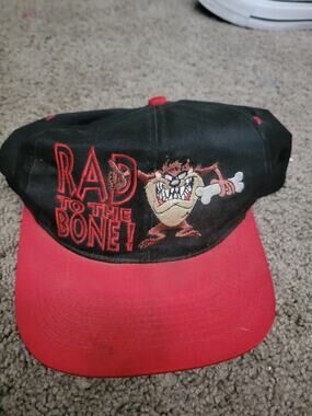 Vintage taz bad to the bone SnapBack Hat 1990s 80s